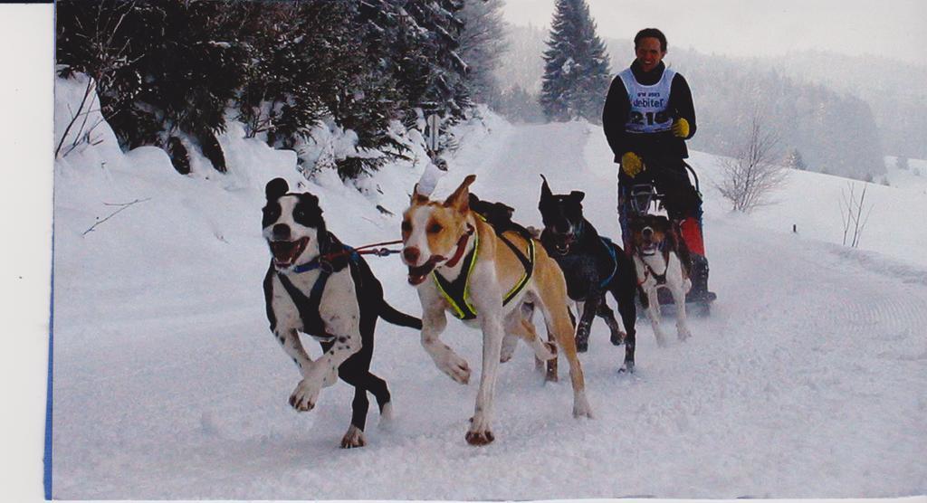 Hotel Alpenfriede Curon Venosta Luaran gambar